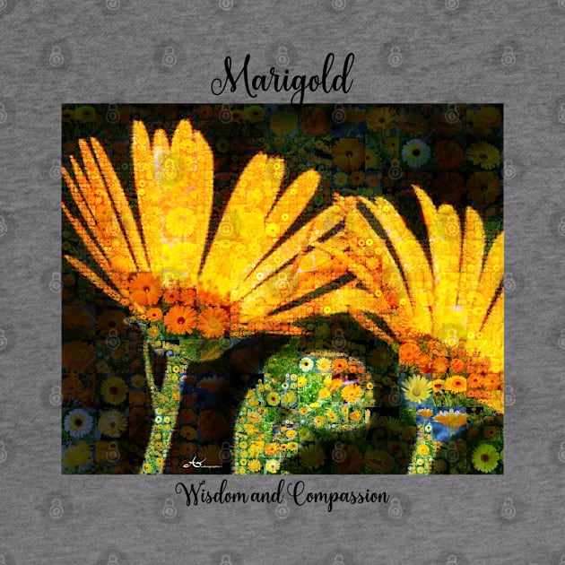 Marigold birth month flower October by Symbolsandsigns